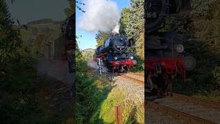 🚂☀️🔥BR 50 macht ordentlich Dampf🚂🔥auf dem Weg zum Markersbacher Viadukt🔥🚂 youtubeshorts eisenbahn [upl. by Nnayrb]