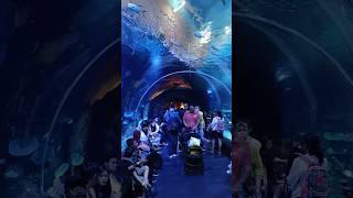 sea tunnel bxsea bintaro [upl. by Cordelia]