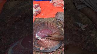 Excellent ox beef cutting skill  Yummy beef cutting [upl. by Kcirdor]