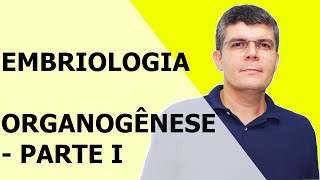 EMBRIOLOGIA  PARTE 9  ORGANOGÊNESE PARTE 1 [upl. by Otrevlig38]