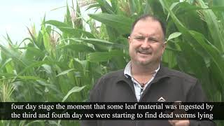 Fortenza Duo  Testimonial from Klein Karoo Seed Trial Farm [upl. by Leibarg577]