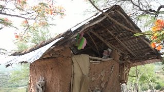 Traviezos de la Sierra  Los Tiempos han cambiado y otra vez en el rancho quotR Avilaquot [upl. by Anawit]