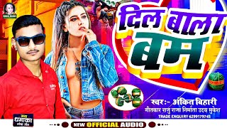 Ankit Bihari ka Gana Maithili hits Song  Dil wala Ban  दिल बाला बम  2025 ka ViralSong [upl. by Skinner344]