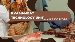 KVASUMeat Technology UnitA Kaleidoscope [upl. by Beora]