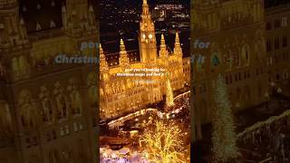 ✨🎄Experience Christmas magic in Vienna Austria travel christmas [upl. by Emelita]