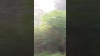 12556 superfast express short youtubeshorts train journey junction trendingshorts travel [upl. by Nazus]