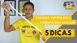 Coleiras Antipulgas Carrapatos e Calazar 5 Dicas [upl. by Ginnifer]