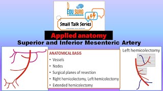 Superior and Inferior Mesenteric artery anatomy masterclass  basis of hemicolectomy surgery [upl. by Lora]