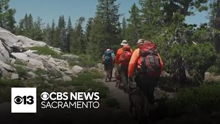 More than a dozen missing hikers located safe in Royal Fire zone [upl. by Nalyac]