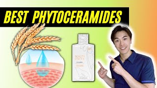 Phytoceramides What are Best Phytoceramides [upl. by Aihsenad]