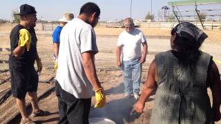 Destapando el horno de barbacoa en Madera California 2015 [upl. by Ob956]