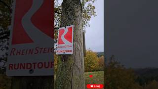 Rheinsteig Rundtour im Klischee Herbst  Rauenthaler Spange [upl. by Yanad]