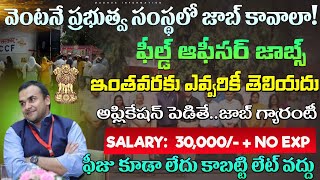 అప్లికేషన్ పెడితేజాబ్ పక్కా Recent Job Search  Latest Jobs Telugu 2024  NCCF Recruitment 2024 [upl. by Koblick]