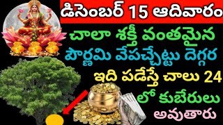 డిసెంబర్ 15 ఆదివారం పౌర్ణమి రోజు ఈ చెట్టు దెగ్గర ఇది పడేస్తే చాలు కుబేరులు అవుతారు [upl. by Anuat]