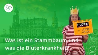 Stammbaum Was ist das und was ist die Bluterkrankheit – Biologie  Duden Learnattack [upl. by Elinnet]