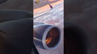 RealTime Airplane Status Where Are They Now ✈️🌍  aviation shorts short viralvideo pilot [upl. by Baxie]