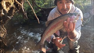 Catching Rainbow trout in rivers of Western Australia [upl. by Korb77]