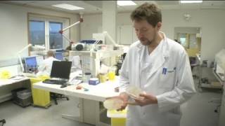 euronews science  La amenaza de las quotsuperbacteriasquot [upl. by Eartnoed]