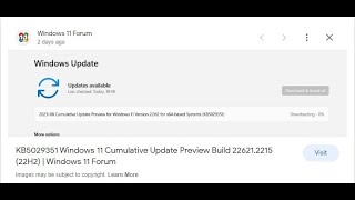 2023 08 Cumulative Update Preview for Windows 11 Version 22H2 for x64 based Systems KB5029351 [upl. by Ranjiv694]