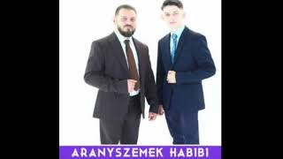 Aranyszemek  HABIBI Copyright [upl. by Attesor179]