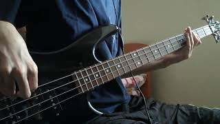 Dermis Tatu  Terrenal Bass cover [upl. by Farron914]