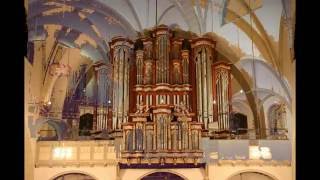 Toccata bminor Eugene Gigout [upl. by Naashom]