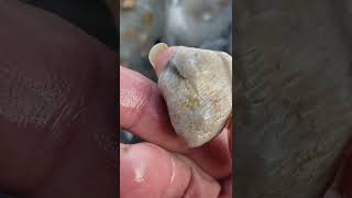 Michigan Fossil Hunting Paradise Near Me buriedtreasure fossil thefinders rockhounding [upl. by Leigh]