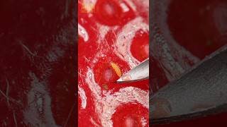 strawberry vs needle asmr satisfying closeup relaxing macro art zoom [upl. by Hoffer]