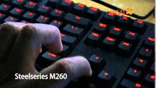 Steelseries M260 [upl. by Cinderella]