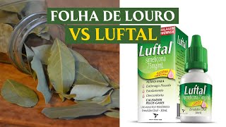 TROQUE A SIMETICONA POR CHÁ DE LOURO Série Plantas Medicinais pt 26 [upl. by Kernan]