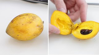 How to Eat Egg Fruit Canistel or Yellow Sapote  Taste Test [upl. by Llewon]