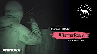 Morgen Abend RettetRonja [upl. by Oiratno607]