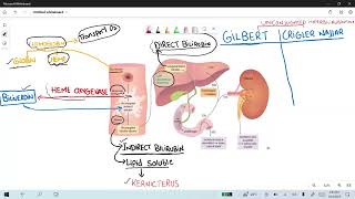 Neonatal Jaundice and RiboflavinHigh Yield Series [upl. by Thorley]