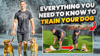 Everything You NEED To KNOW To TRAIN Your DOG [upl. by Rubia63]