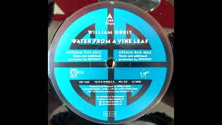 William Orbit – Water From A Vine Leaf [upl. by Yelich]