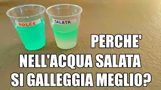 🧪💧 Acqua dolce e acqua salata dove si galleggia meglio esperimento di scienze [upl. by Justicz]