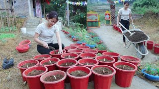 Single Mom  Growing Borage in Plastic Pots amp Life Off the Grid [upl. by Milicent]