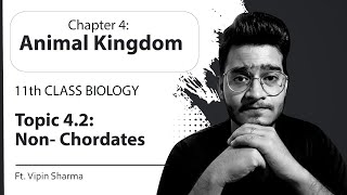 Topic 42 NonChordates Porifera to Hemichordata  Animal Kingdom11th Class Biology  Notes Given [upl. by Biebel]