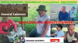 Onion Growers  Bayambang Pangasinan Philippines  Episode 2 [upl. by Girvin]