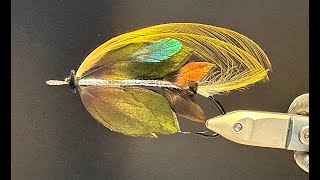 Live fly tying tying the Traherne pattern Bronze pirate with Jonas Andersson [upl. by Volny]