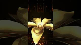 Blooming flowers 4  Full version  httpsyoutubeptUZxD0PmQsi1mg8gTbazRgborP6 deraodree [upl. by Eirene]