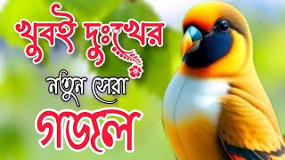 খুবই দুঃখের নতুন সেরা গজল। gojol ringtone গজল 2024 নতুন bangla gojol all notun ghazal গজল 2024 [upl. by Enahsal]