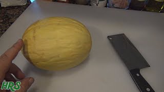 ⟹ Canary Melon  Cucumis melo L  Fruit Review [upl. by Ninerb]