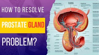 How to resolve Prostate Gland Problem In Hindi [upl. by Ipoillak]