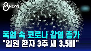 폭염 속 코로나 감염자 증가…quot입원 환자 3주 새 35배quot  SBS 8뉴스 [upl. by Nola440]