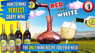 How To Make Wine From Grapes  The Only Wine Recipe You Will Ever Need  Fermentation  PART 1 [upl. by Larimer614]