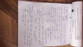 Lyons hypothesis clearly explained [upl. by Allesig]