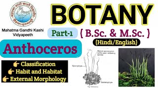 AnthocerosClassificationHabit and HabitatExternal MorphologyBSc 1st year BotanyBsc Bryophyte [upl. by Shedd687]