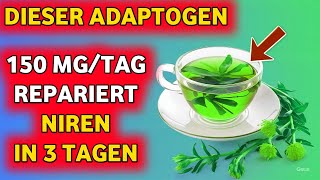 Dieser ADAPTOGEN um den Kreatininspiegel schnell zu senken  Reparieren Sie Ihre Nieren in 3 Tagen [upl. by Viguerie]