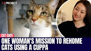 One Womans Mission To Rehome Cats Using A Cuppa [upl. by Lonyer]